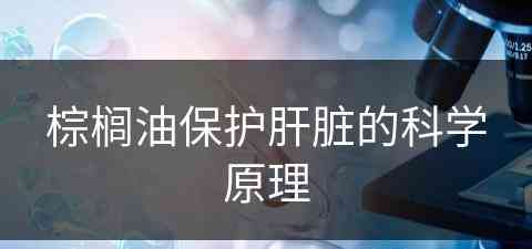 棕榈油保护肝脏的科学原理(棕榈油保护肝脏的科学原理是什么)